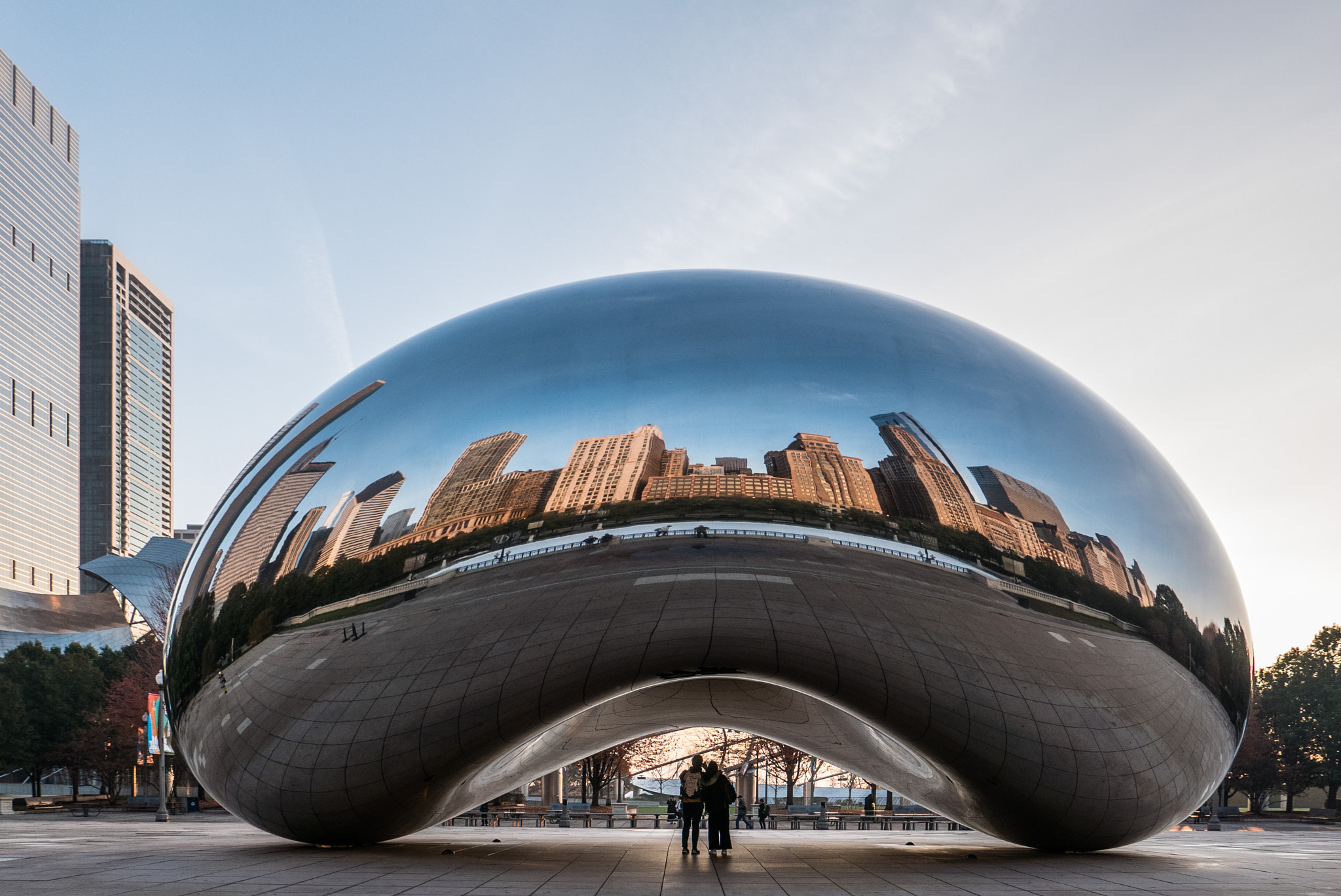 Bean of love
