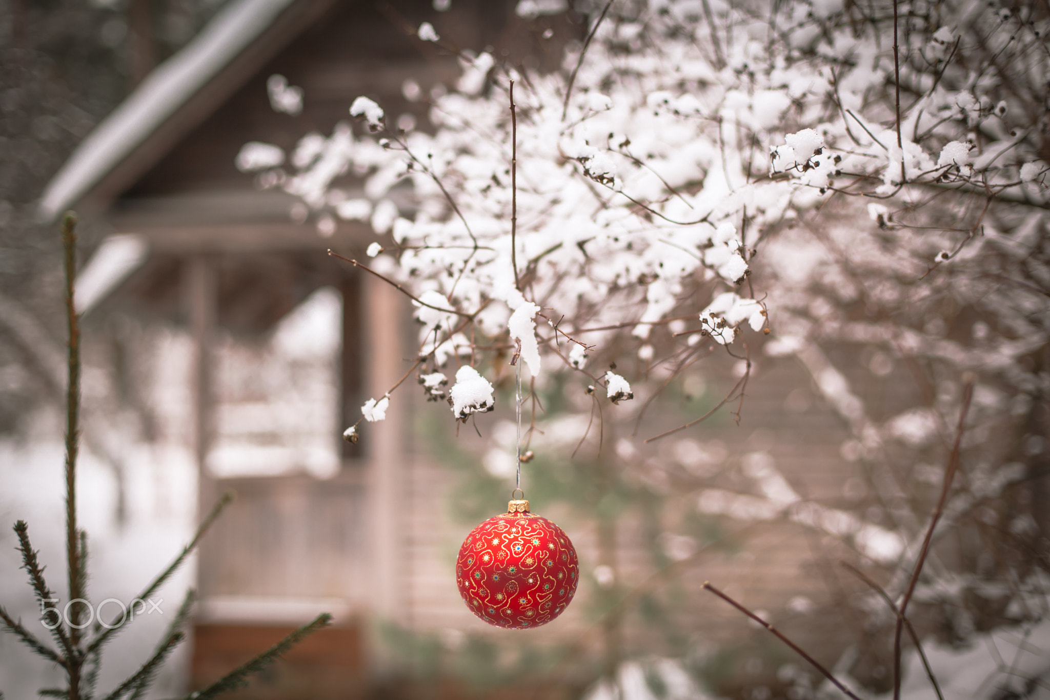 Christmas ball on a tree branch