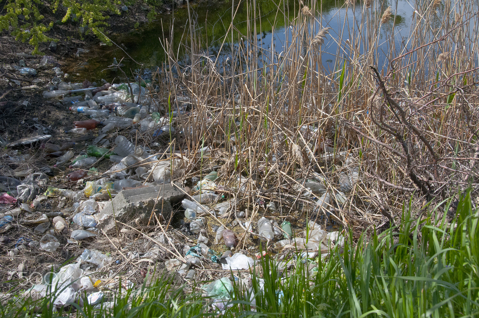 Nikon D300S sample photo. Plastic garbage on the photography