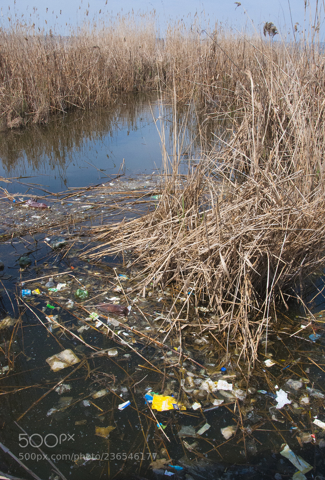 Nikon D300S sample photo. Environmental problem, garbage photography