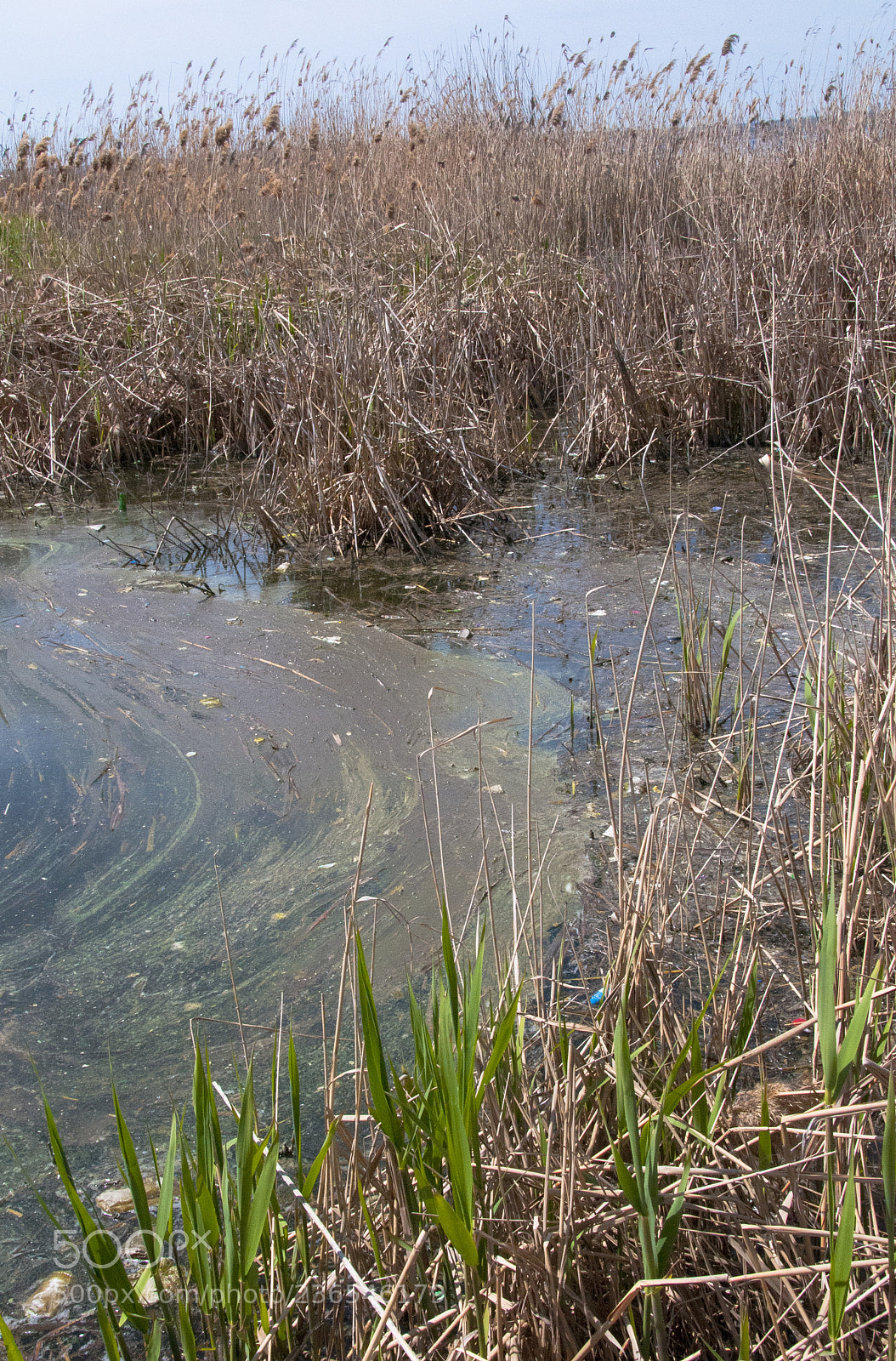 Nikon D300S sample photo. Environmental problem, garbage photography