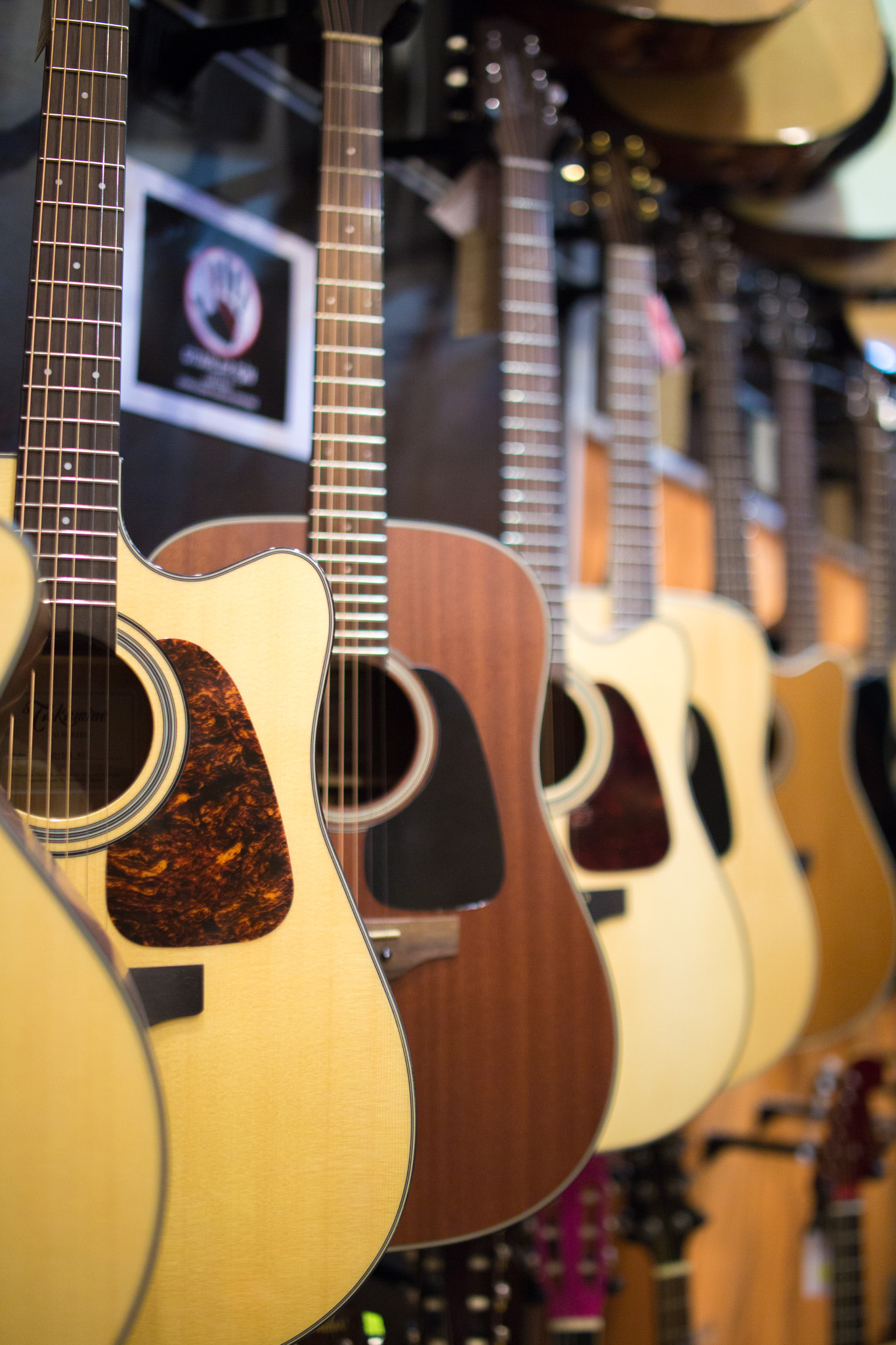 acoustic guitars on the shells