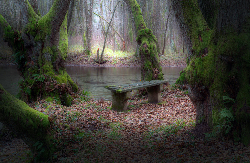 Bench by Mevludin Sejmenovic on 500px.com