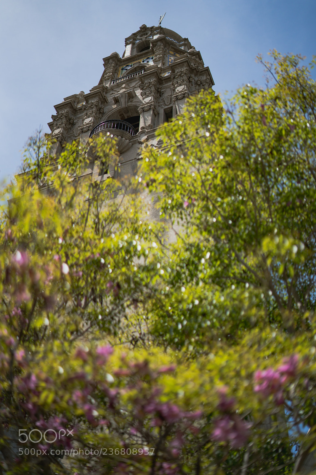 Sony a7R II sample photo. Plants and architecture photography