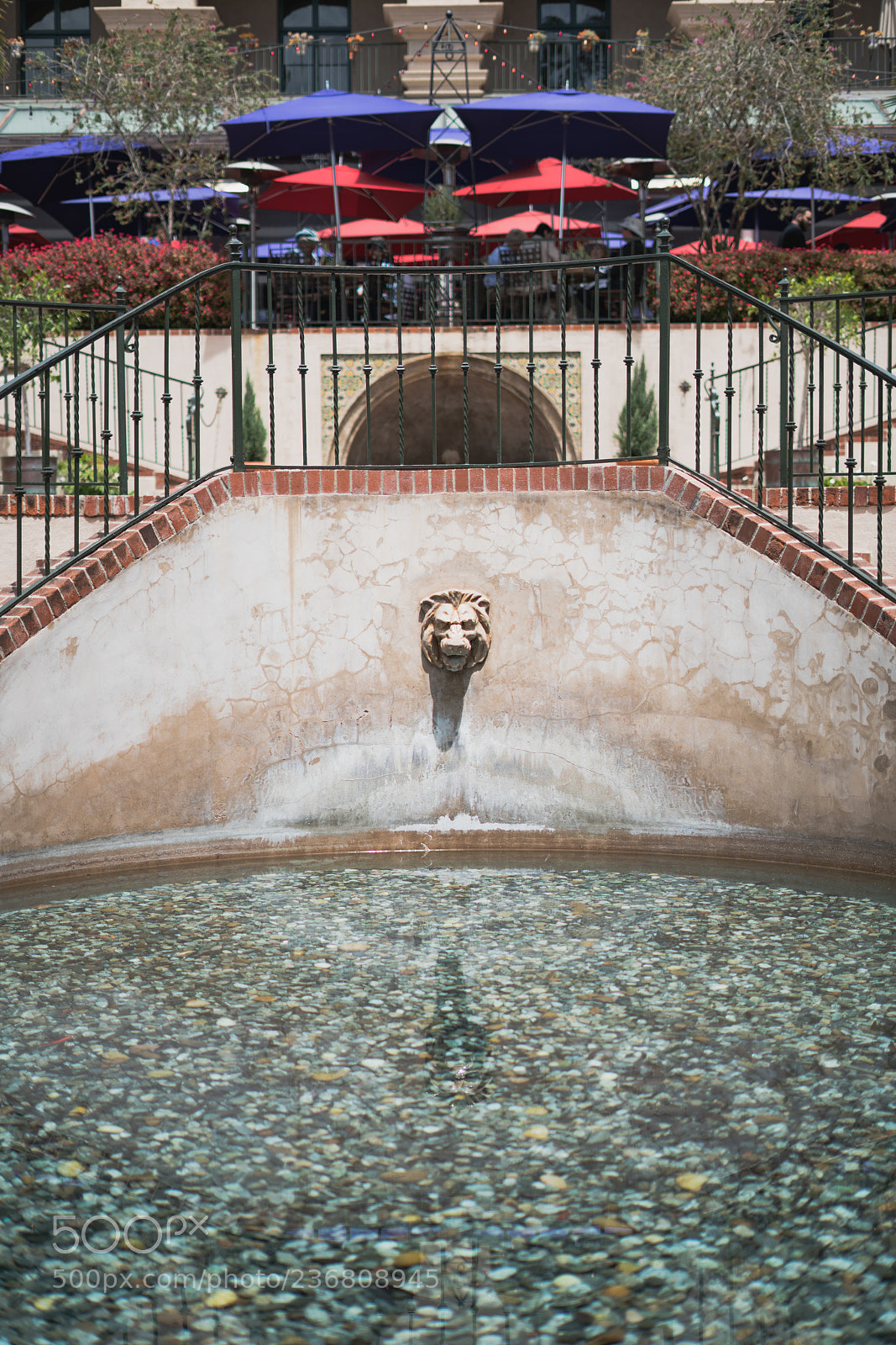 Sony a7R II sample photo. Balboa park photography