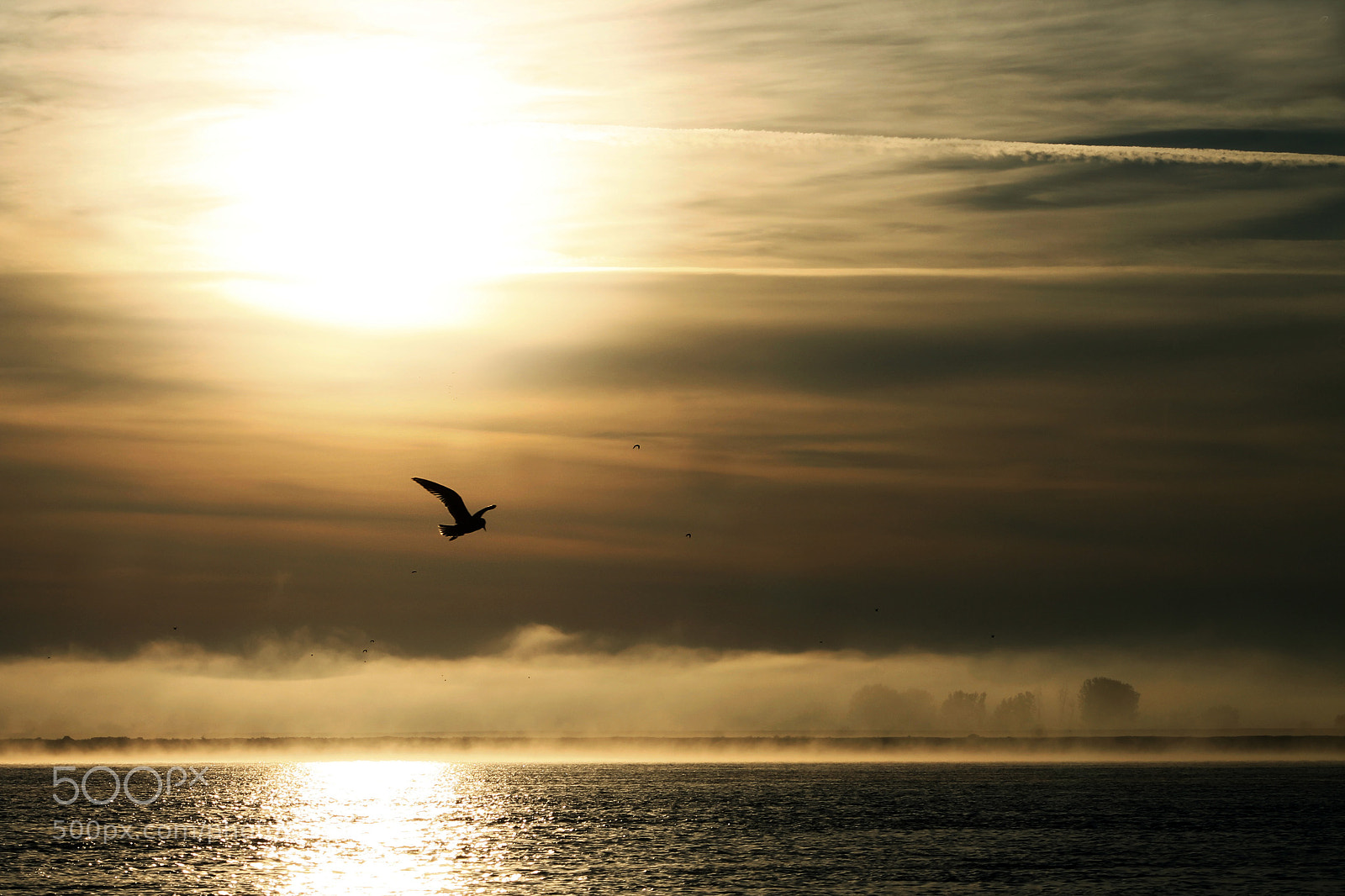 Canon EOS 1100D (EOS Rebel T3 / EOS Kiss X50) sample photo. October sunrise photography