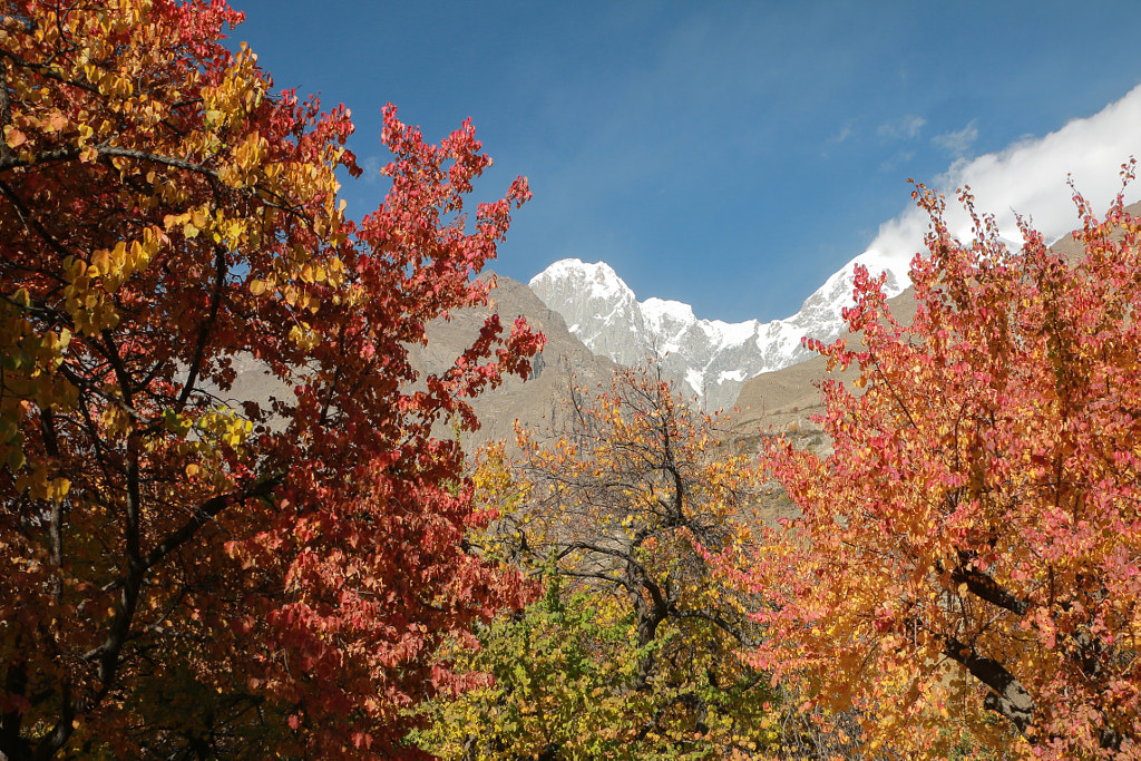 Autumn by SALMAN AHMED on 500px.com