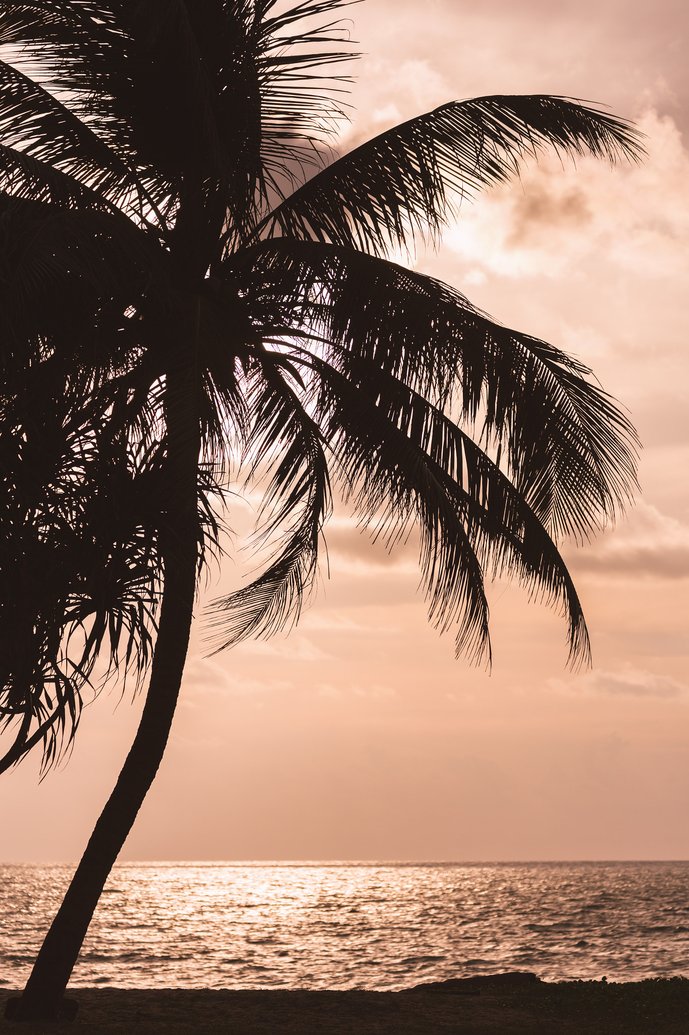 "phuket weather"