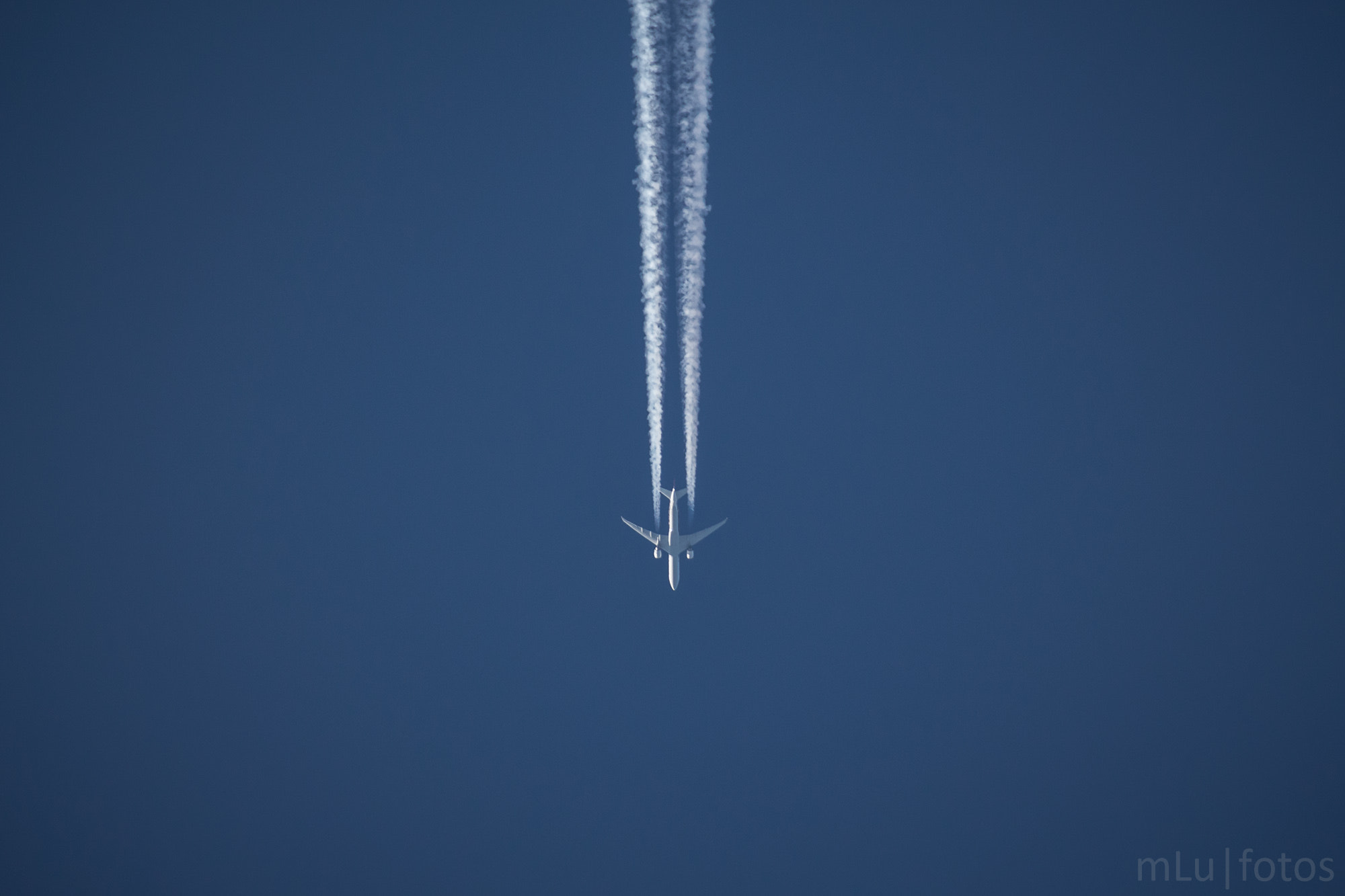 Flying away...