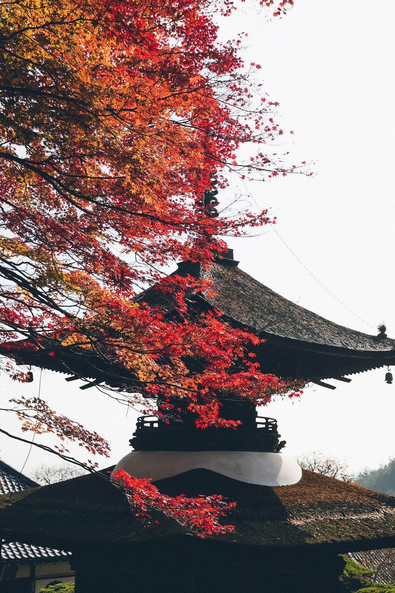 Yuma Yamashita (YumaYamashita) Photos / 500px - 780 x 1170 jpeg 475kB