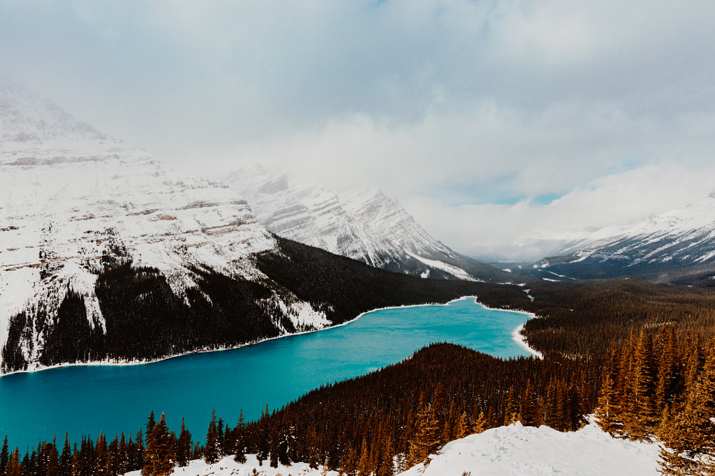 Peyto Lake by Hayden Scott on 500px.com