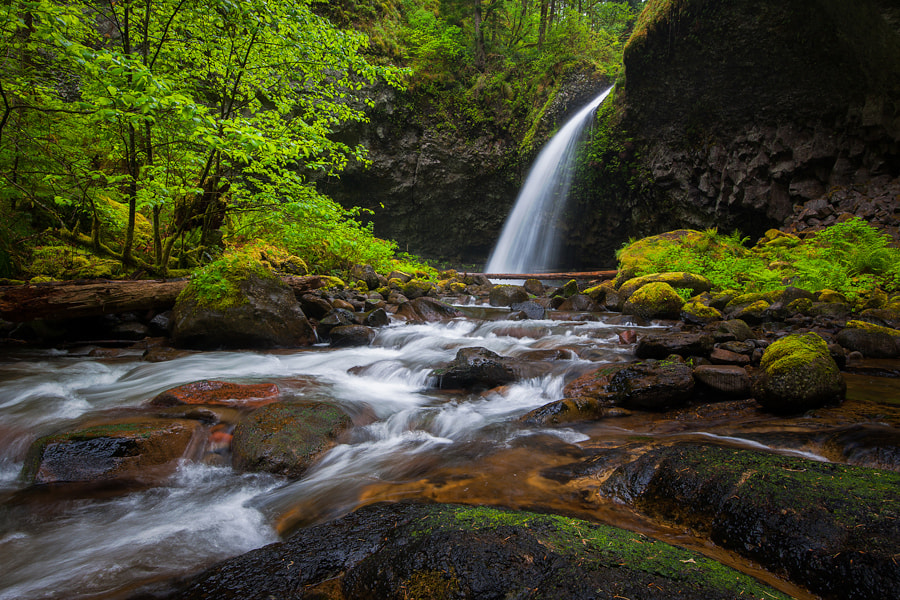 Upper Oneonta Falls by Alex Mody / 500px