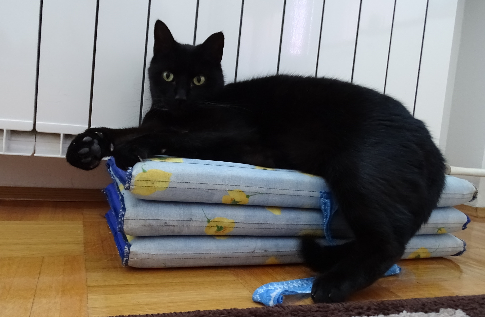PIKO