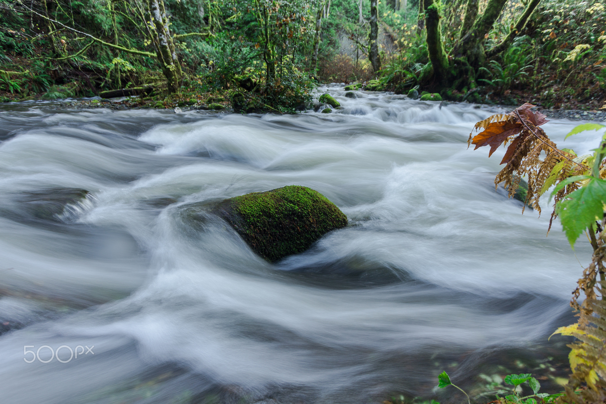 Swollen river