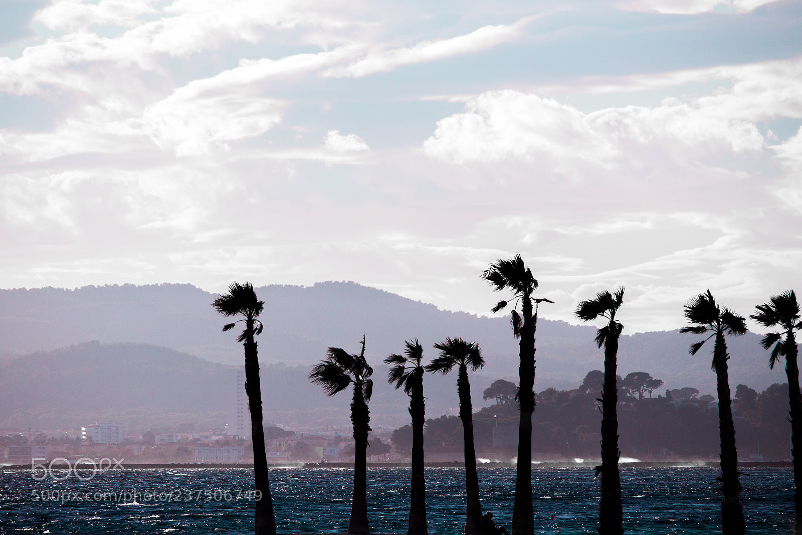 Canon EOS 700D (EOS Rebel T5i / EOS Kiss X7i) sample photo. Toulon palmtrees photography