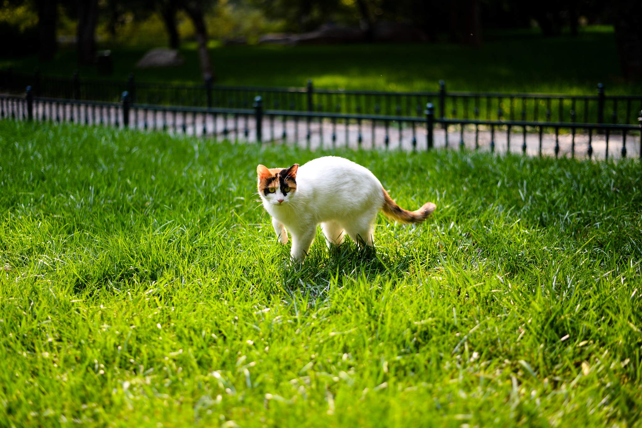 v2?sig=ad10f2d3af0da708c4018e404871c69b6d8329847cfd2949bdcf3724607426eb