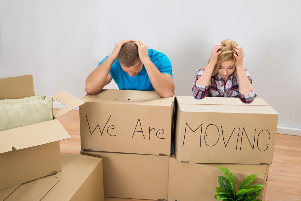 Find Move in Cleaning Services in Dubai