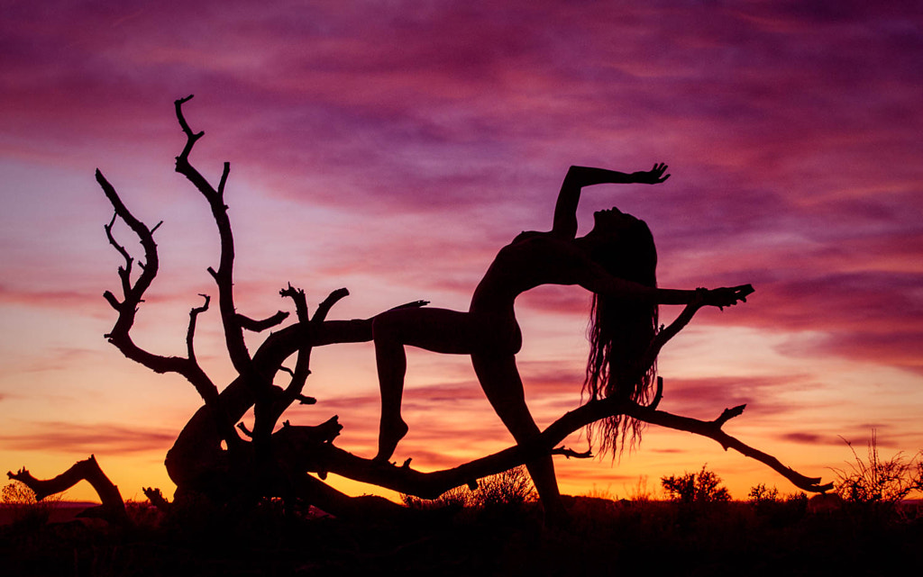Utah Silhouette by Craig Colvin on 500px.com