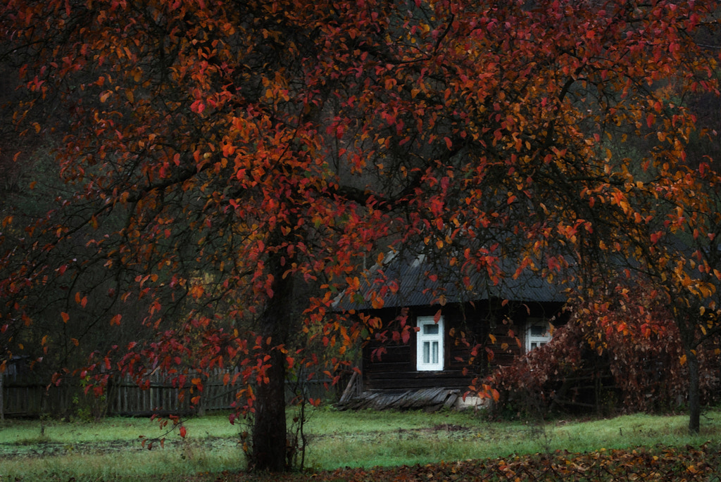 Autumn of the white window. by Igor Viushkin on 500px.com