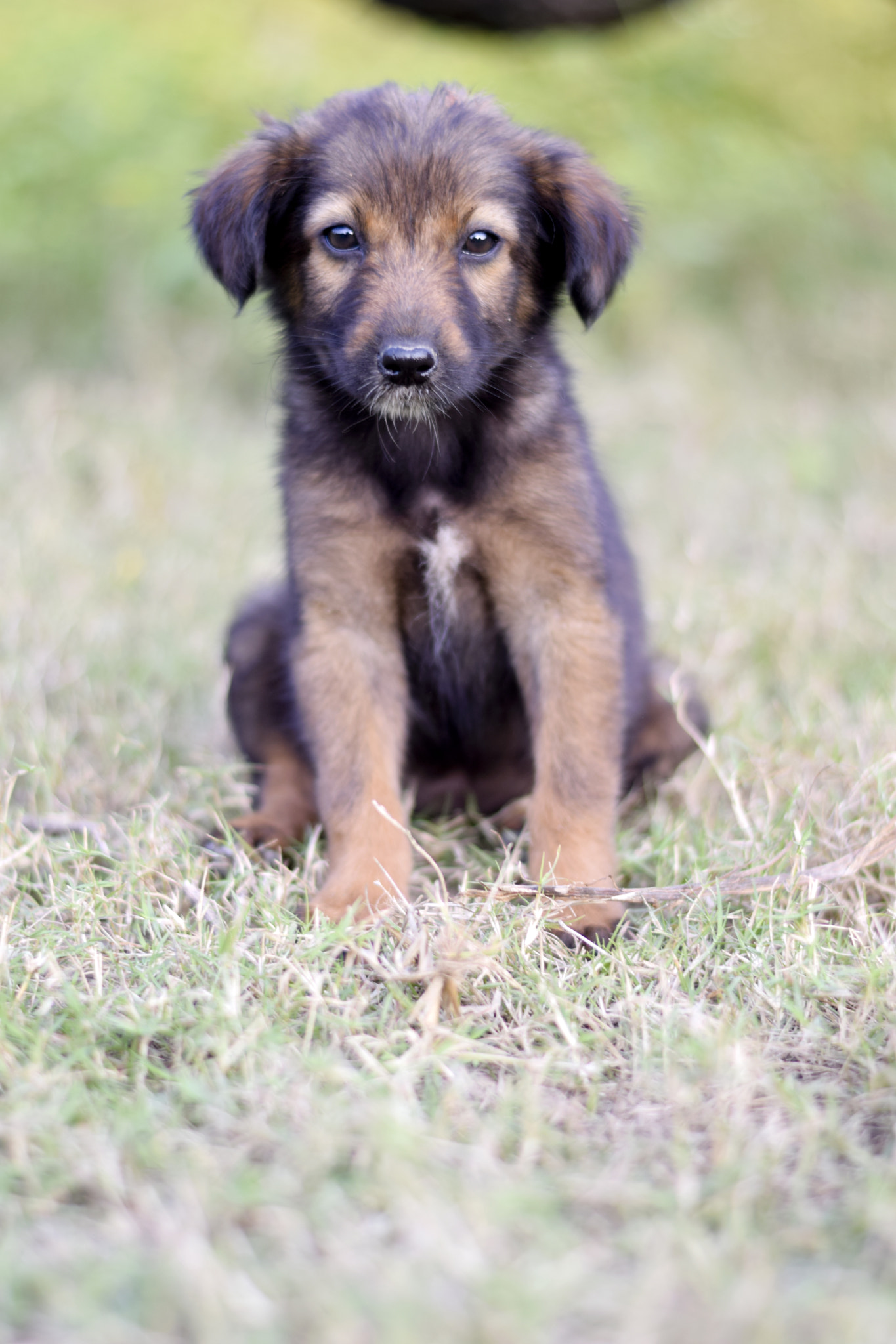 v2?sig=b1deb521f0a44d86be16233ea54fdb1e9c8fbe4162c00dd469cecb9e4c1a4e41