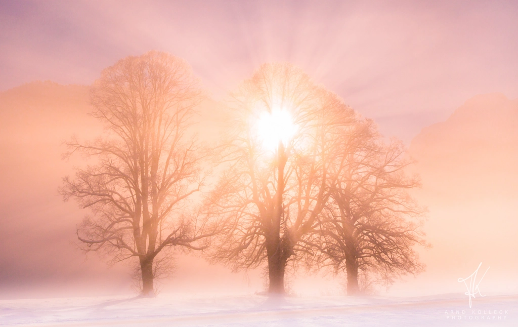 Sun Kiss by Arnd Kolleck on 500px.com