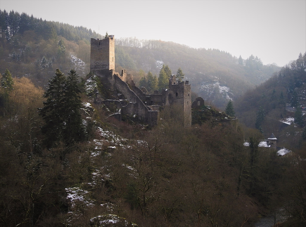 The Niederburg in winter by Fedor de Vries on 500px.com