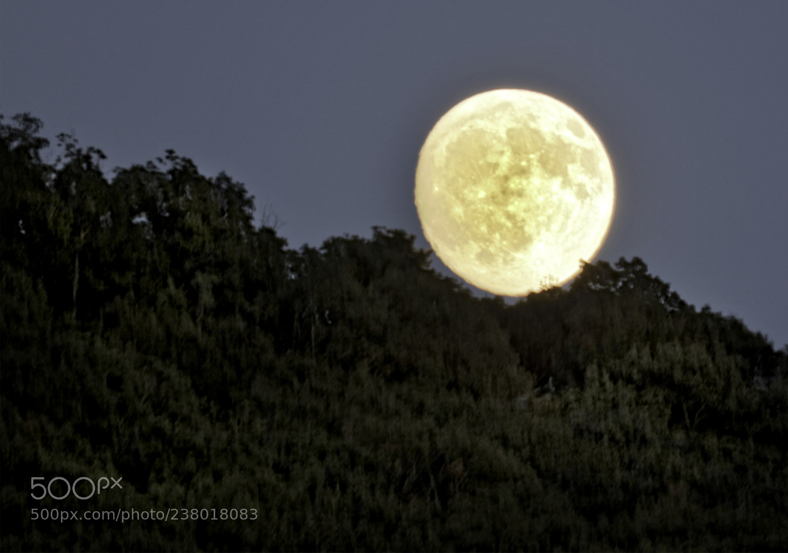 Canon EOS 5DS R sample photo. Back yard moon photography