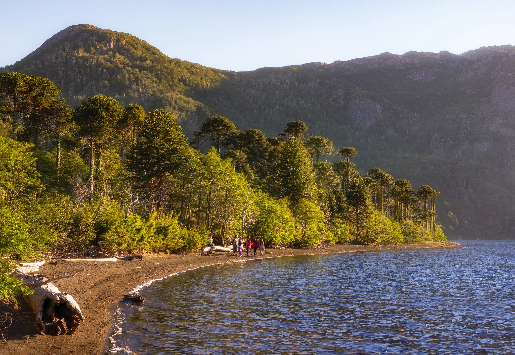Walking around the glacier lake with friends