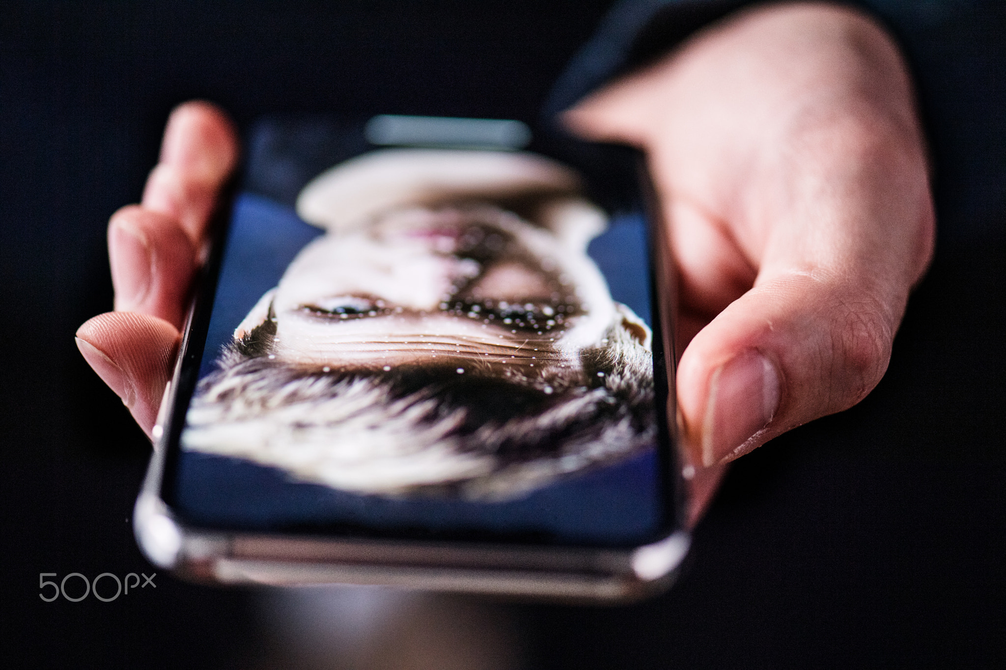 A smartphone using face ID recognition system.