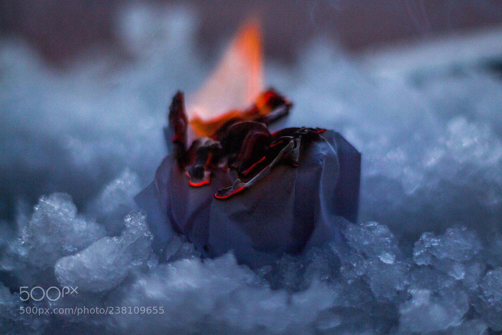 Canon EOS 700D (EOS Rebel T5i / EOS Kiss X7i) sample photo. Burnt paper photography