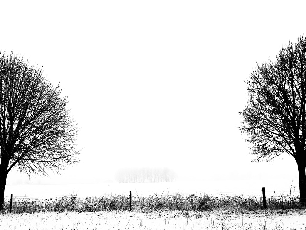 GabrielHemery whiteout by The Tree Photographer on 500px.com