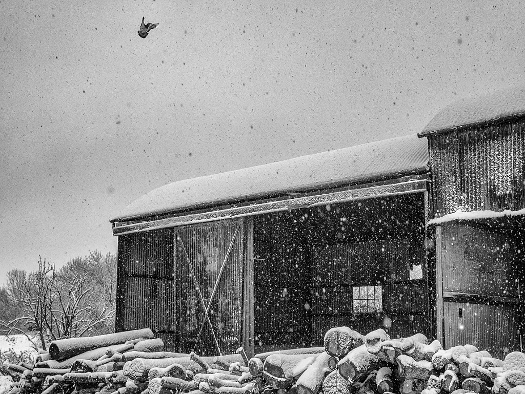 GabrielHemery woodbarn by The Tree Photographer on 500px.com
