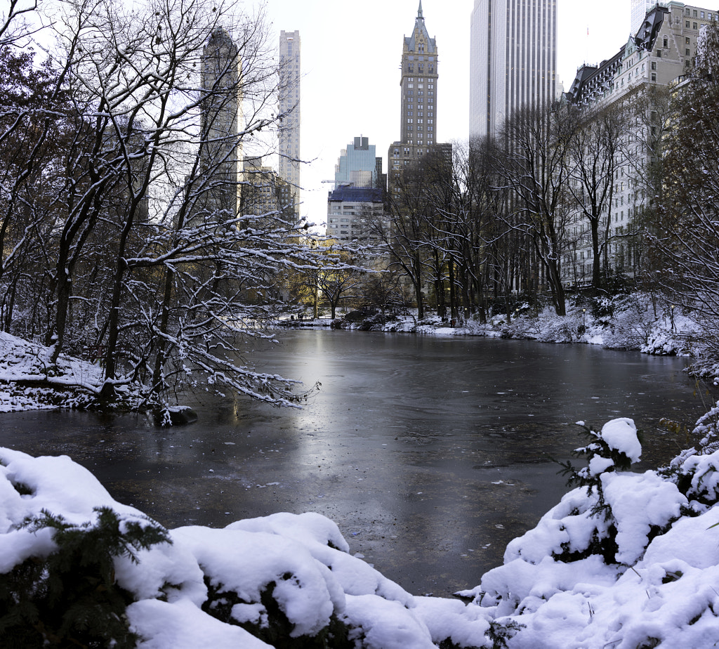 Winter in New York City; First snow (NYC Winter 2017 Gallery)