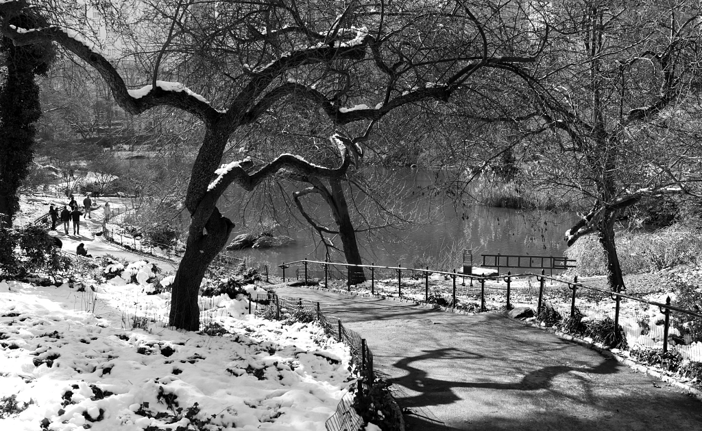 Central Park South _ bw by Joe Josephs on 500px.com