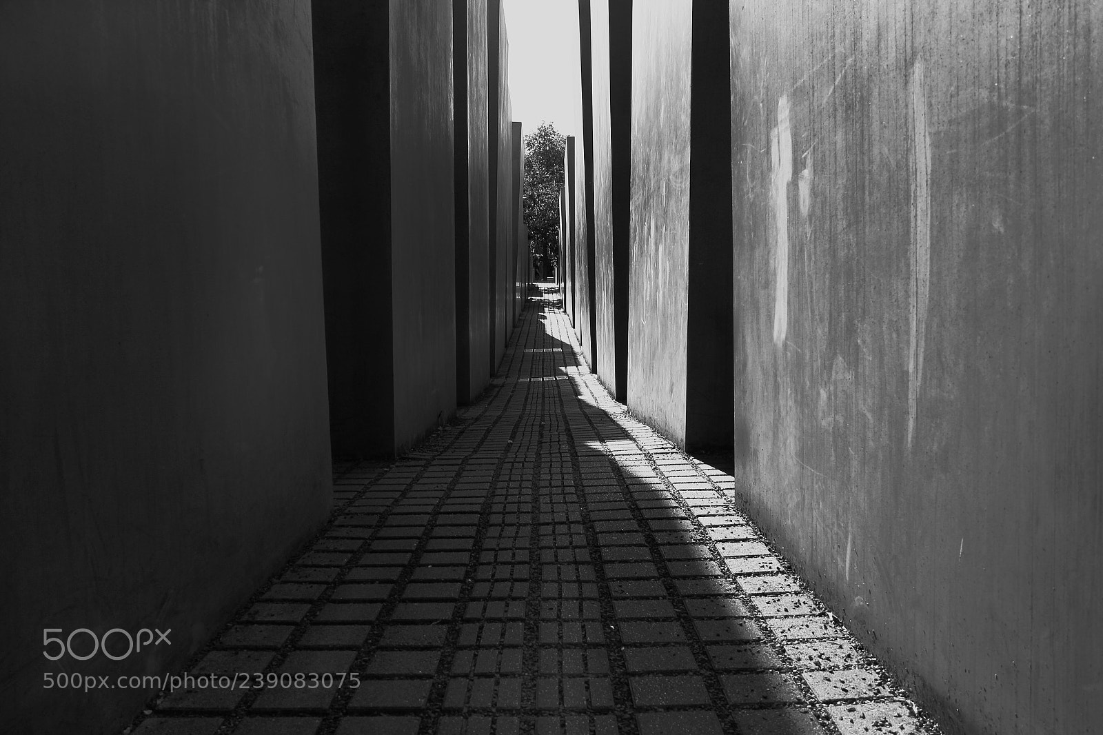 Canon EOS 60D sample photo. Passage photography