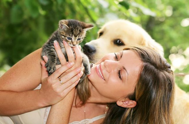 How to Take #Care of Your #Pet?