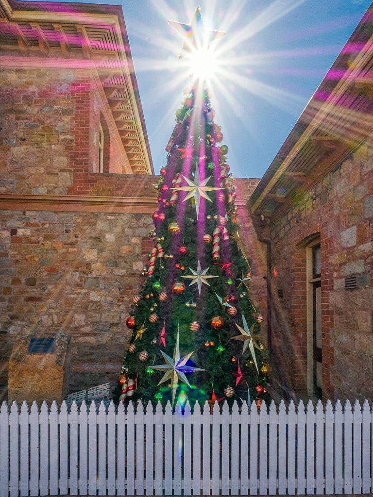 Christmas Star by Paul Amyes on 500px.com