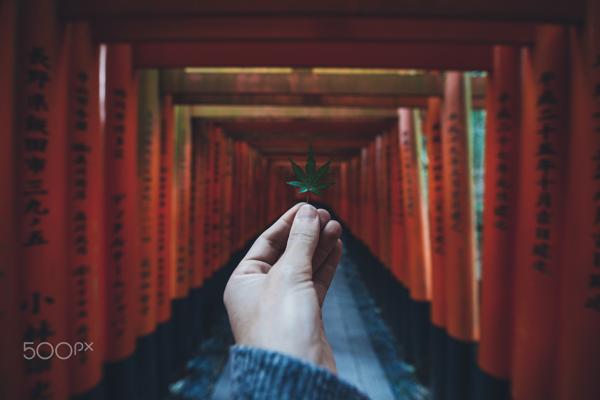 The fushimi-inari path in Kyoto