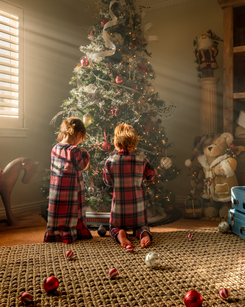 Decorating the Tree by Adrian C. Murray on 500px.com