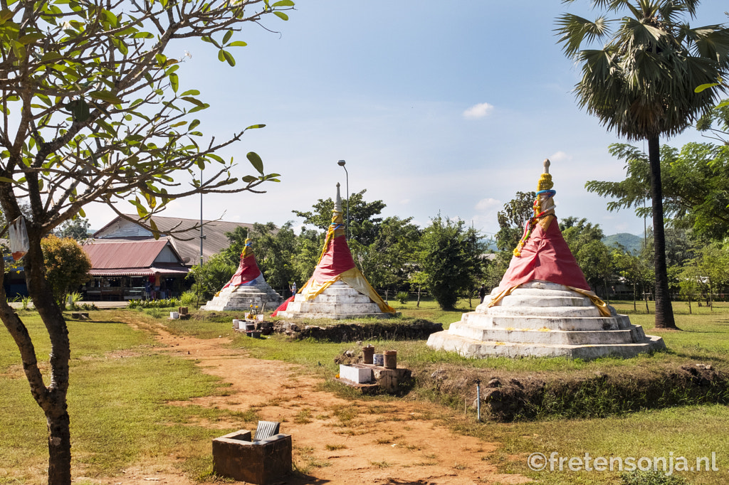 DSCF4764 by www.fretensonja.nl on 500px.com