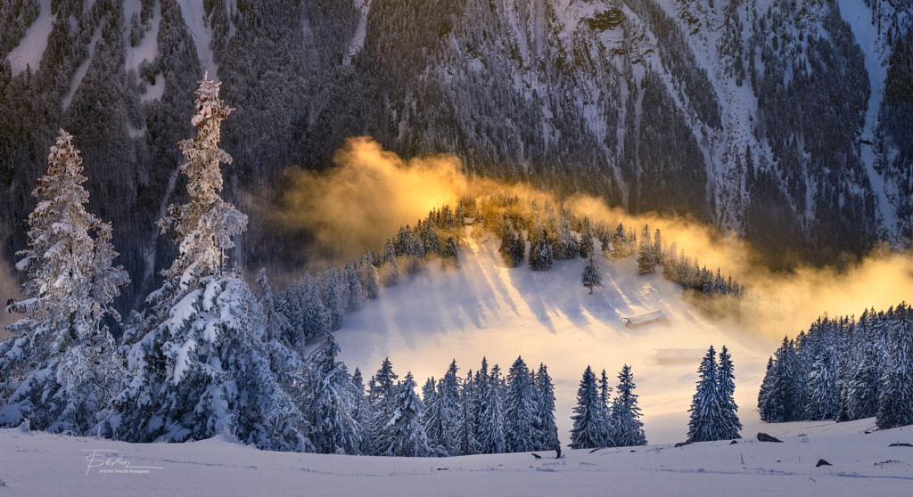 Golden Cloud by Stefan Thaler on 500px.com