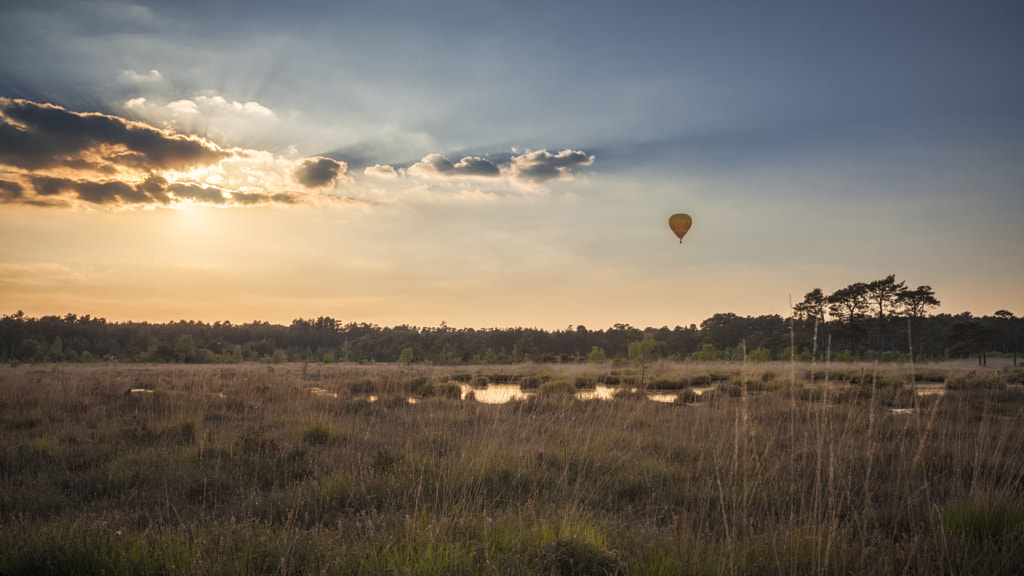 The golden Hour of Ballooning, автор — Antony Cooper на 500px.com