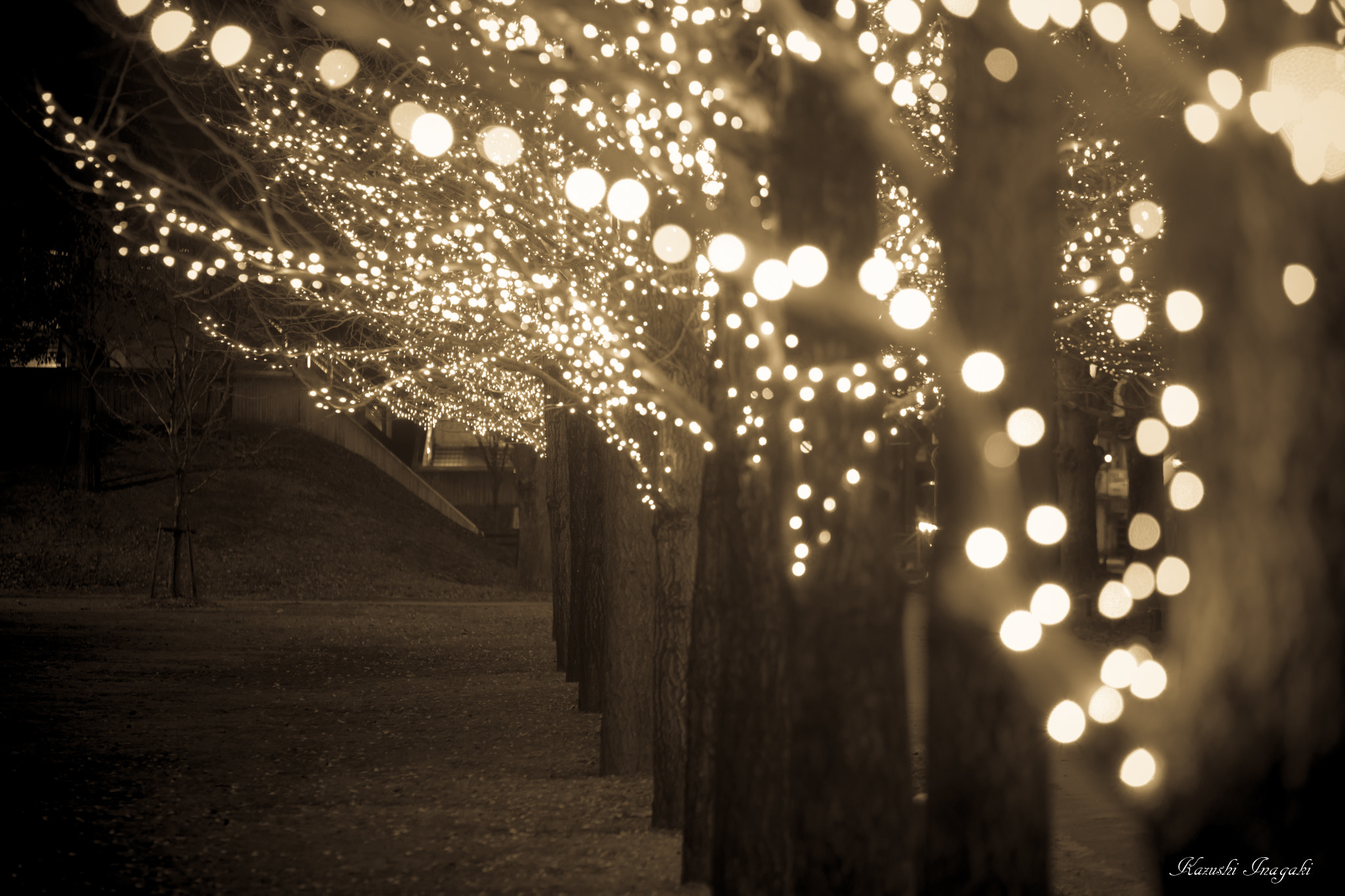 v2?sig=403de6dbc822769133e4b4ee52387c73aab691afddd74b4ac8ad9e1898b19a51