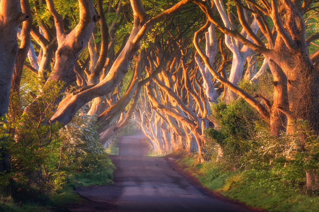 The Glowing Tunnel by Daniel F. on 500px.com