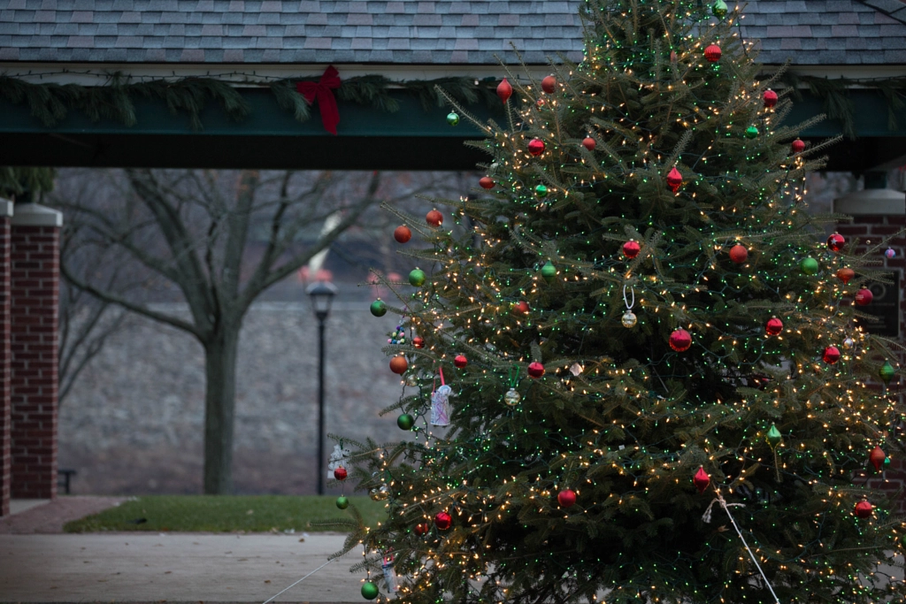 Christmas Tree by Mark Becwar on 500px.com