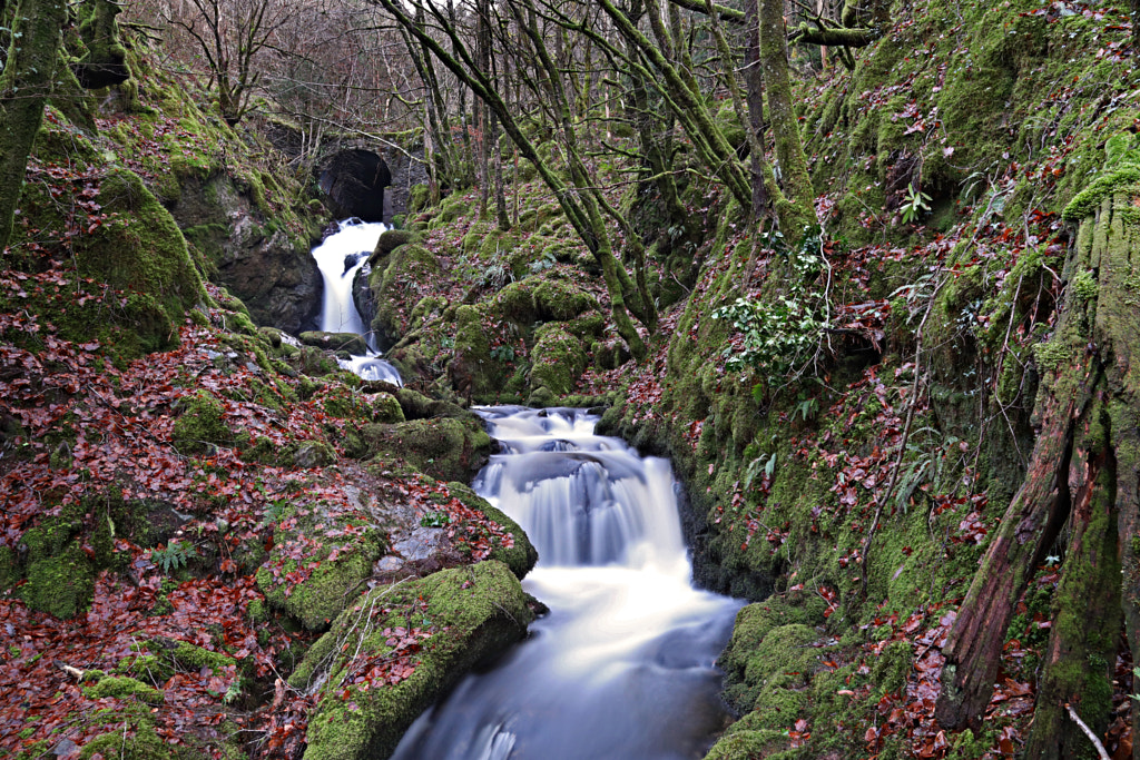 Hafod Stream by Adam Hughes / 500px