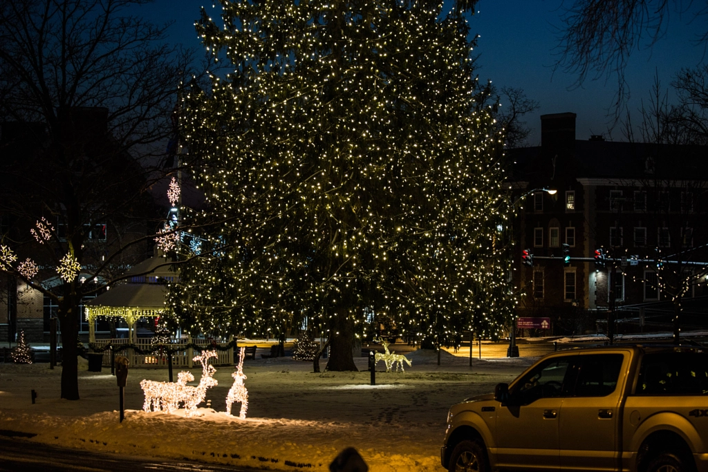 Big Tree by Mark Becwar on 500px.com