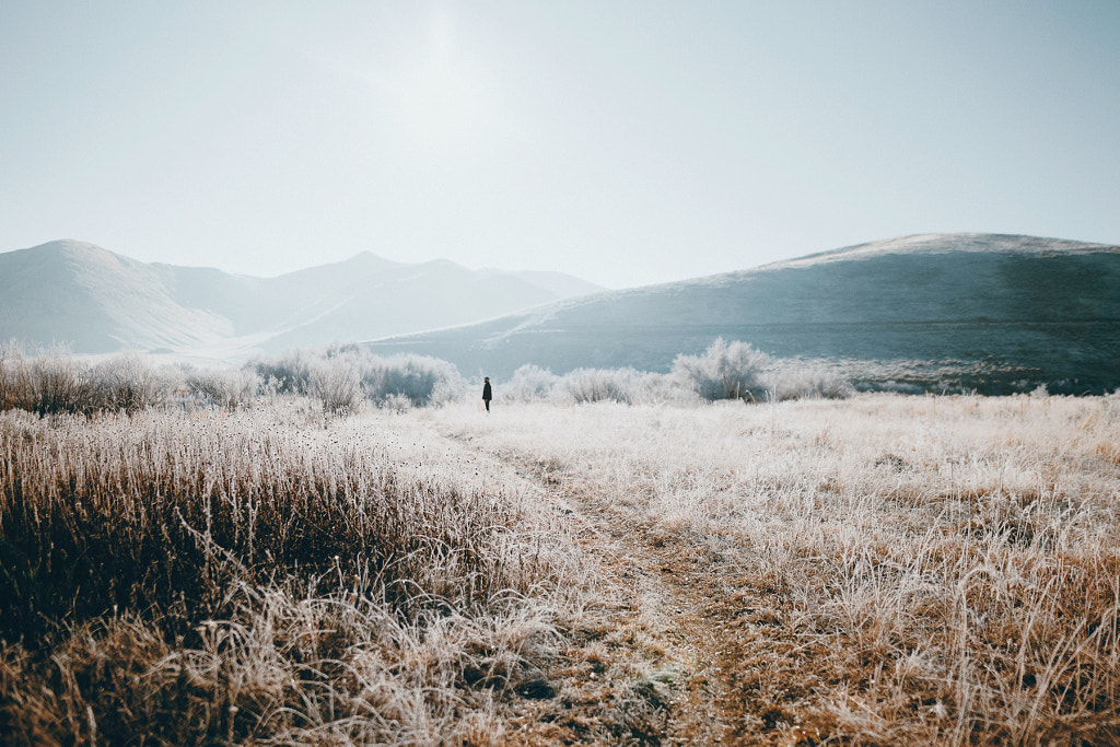 frosty morning by Sam Brockway on 500px.com