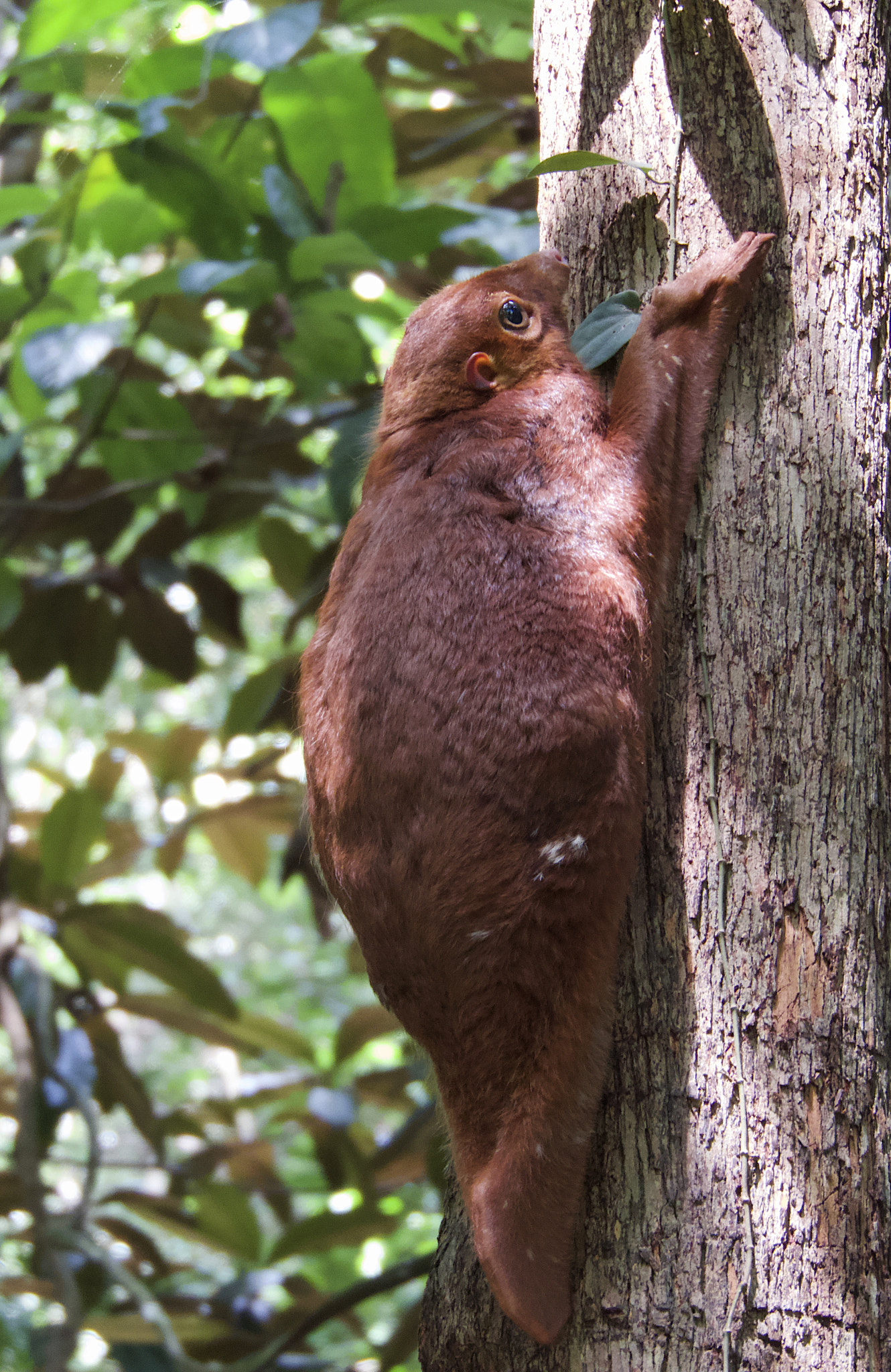 v2?sig=62eb5ed6a87899128389c937bf0c9d0f5d653fb1a1dcdfbfbbb29dcc04b21ca1