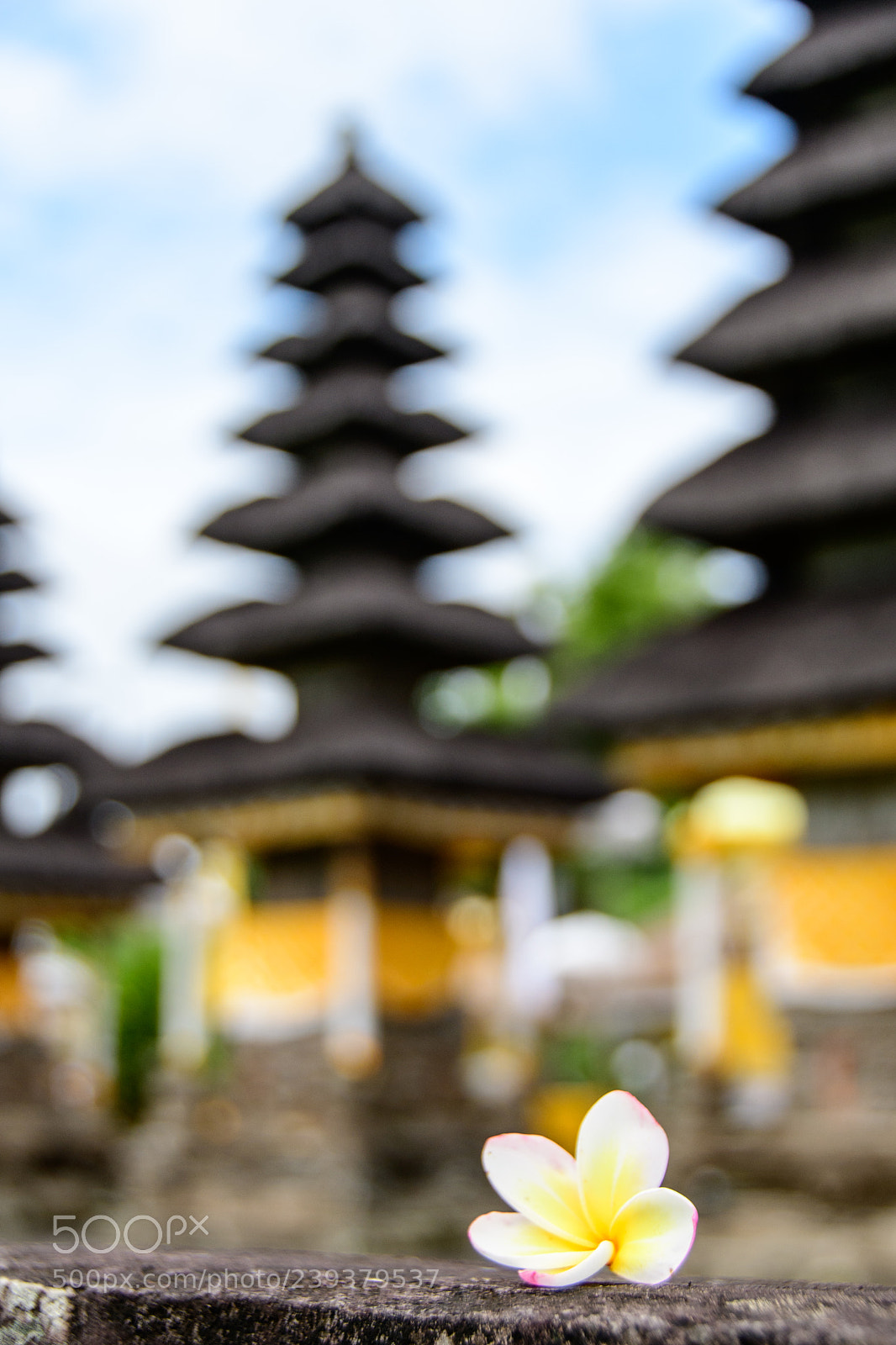 Nikon D7500 sample photo. Temple grounds photography
